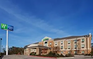 Holiday Inn Express & Suites Cleveland - Ace