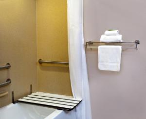 Standard King Room with Accessible Tub - Mobility Access room in Holiday Inn Express Hotel & Suites Inverness an IHG Hotel