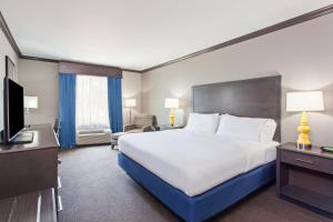 Standard King Room room in Holiday Inn Express & Suites Wharton an IHG Hotel