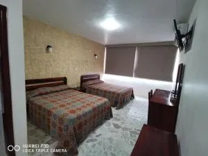 Hotel Plaza - 图斯潘罗德里格斯卡诺