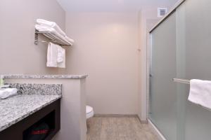 Standard Two Queen Bedroom room in Holiday Inn Express & Suites Williams an IHG Hotel