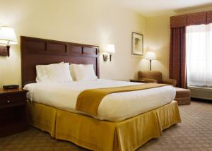 Standard King Room room in Holiday Inn Express Hotel & Suites Levelland