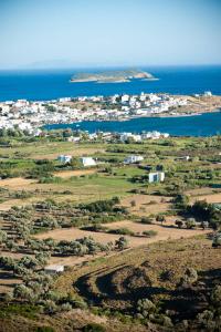 Villa Melania by Olive Villa Rentals Andros Greece