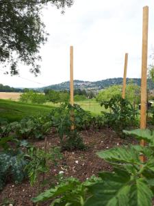 Maisons de vacances Norpech : photos des chambres