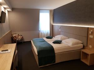 Standard Double or Twin Room room in Hotel Alpina