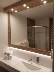Standard Single Room room in Hotel Alpina