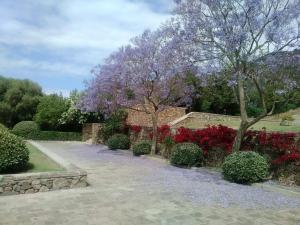 Appartement Baia Delle Ginestre Teulada Italien