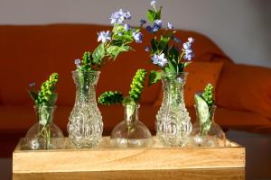 Bodul Vacation Apartment