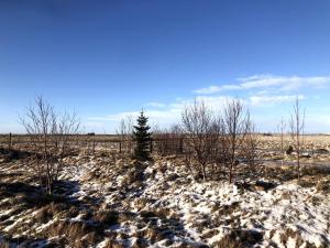 Fögruvallakot Cabin