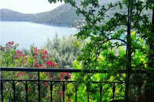 Vardia appartment Lefkada Greece