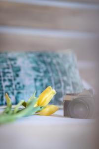 Paradise apartment in Koukaki