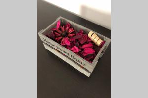 Sweet Home Montecristo Civico 1