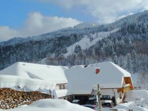 Cosy apartment in the Black Forest just outside Todtnau