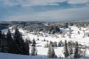 Appartements Le Refuge : photos des chambres