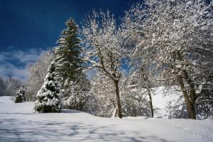 Appartements Le Refuge : photos des chambres