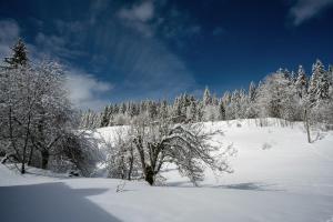 Appartements Le Refuge : photos des chambres