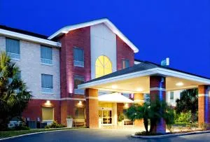 Holiday Inn Express Hotel and Suites Weslaco by IHG - La Feria