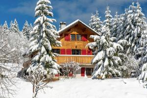 Appartements Le Diable Bleu : photos des chambres