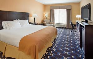 Holiday Inn Express & Suites Las Cruces North