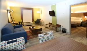 King Suite - Non-Smoking room in Holiday Inn Express & Suites Newport News an IHG Hotel