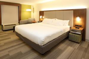 King Room - Non-Smoking room in Holiday Inn Express & Suites Newport News an IHG Hotel