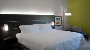 Standard King Room room in Holiday Inn Express & Suites White Hall an IHG Hotel