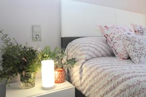 ARENDA Casa Caleta Miami Playa