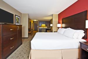 King Suite with Sofa Bed - Non-Smoking room in Holiday Inn Express & Suites Springfield an IHG Hotel