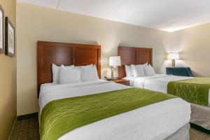 Queen Room with Two Queen Beds - Non-Smoking room in Comfort Inn Downtown Chattanooga