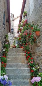 Apartamento en primera línea de playa