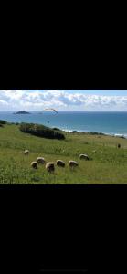 Maisons de vacances Appartement Standing 40 metres Plage Terrasse et Garage avec wifi : photos des chambres