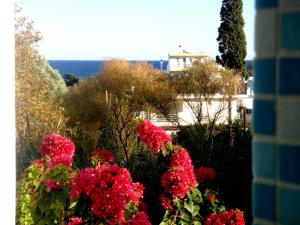 Blugreen Stegna B&B (ex Panorama) Rhodes Greece