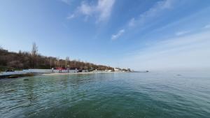 Французский бульвар Довженко