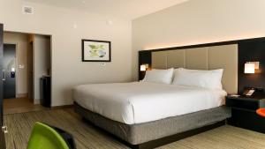 King Suite - Non-Smoking room in Holiday Inn Express & Suites - Tampa East - Ybor City an IHG Hotel