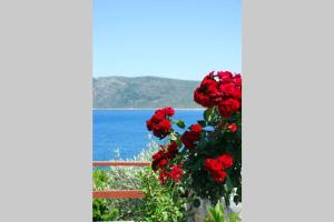 Vila Elena 2 astoning view Alonissos Greece