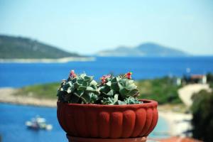 Vila Elena 2 astoning view Alonissos Greece