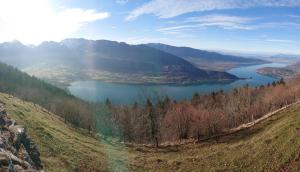 Appartements Studio a la campagne au bout du lac d'Annecy : photos des chambres