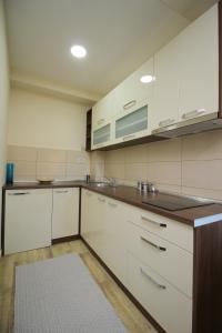 Apartment Lazarevic II