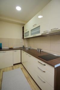 Apartment Lazarevic II