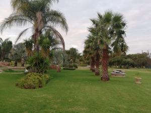 MixoSunrise Guesthouse & Spa