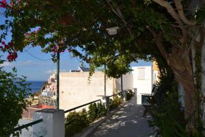 Maridea - Camere con vista al Porto