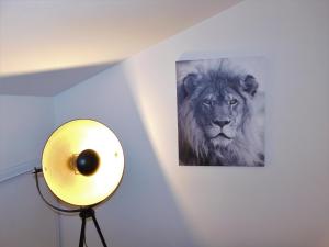 Appartements YES HOME : photos des chambres