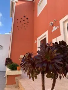 Vila dos Avós - بواركوس