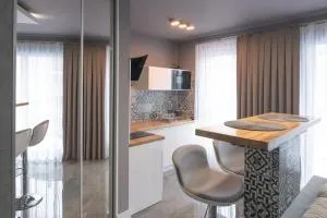 Apartament Panorama - 新塔尔格