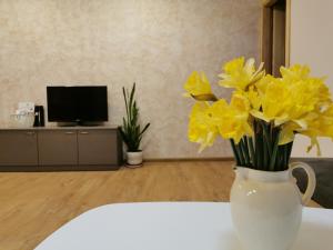 Central Apartments Nojus