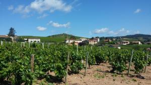 Hotels Logis Hotel Des Grands Vins : photos des chambres