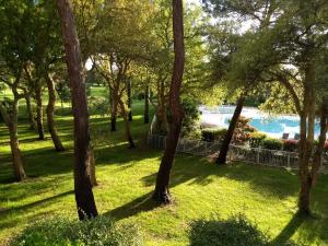 Albertine appt 112 - 4hvězdičkové hotely ve městě Moliets-et-Maa