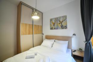 Vila Elsa Apartmani Kosta Todorovic