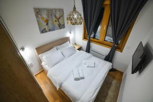 Vila Elsa Apartmani Kosta Todorovic