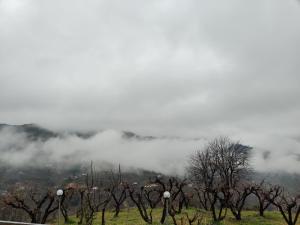 Enchanted Hills Farmstay